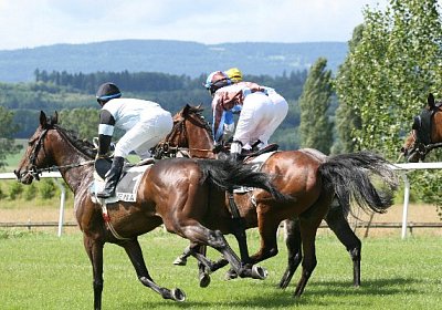 IMG 0757 600x400.jpg