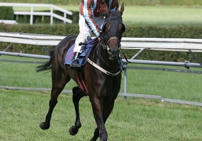Zauberlied beim Aufgalopp