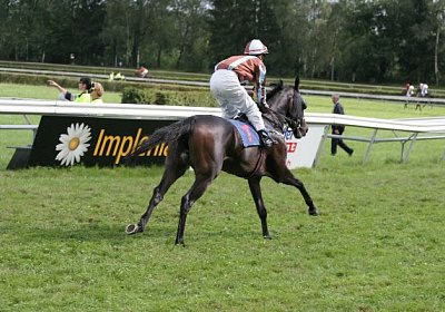 Zauberlied-Aufgalopp