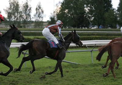 Eine Runde vor Schluss (2)