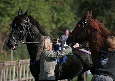 Die Crew checkt die beiden