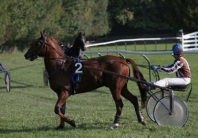 Jetzt geht es dann los