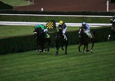 IMG 1630 600x400.jpg