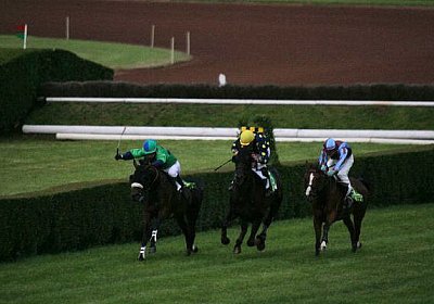 IMG 1631 600x400.jpg