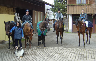 Die Stall Allegra Crew