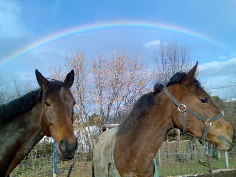 Le Tche und La Lande unter dem Regenbogen