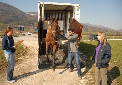 Ein kleiner Schritt f?r J'Y Reste...