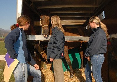 uw 16 reste 640x422.jpg