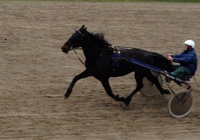 C Training Zosh (Kopie)