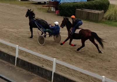 C Training Zosh Prince 2 (Kopie)