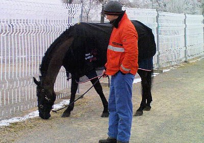 DSC00003 640x480.jpg